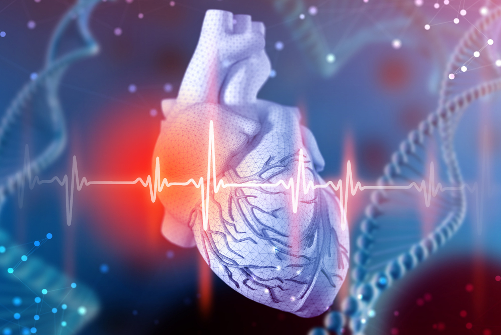 What is a heart valve replacement?