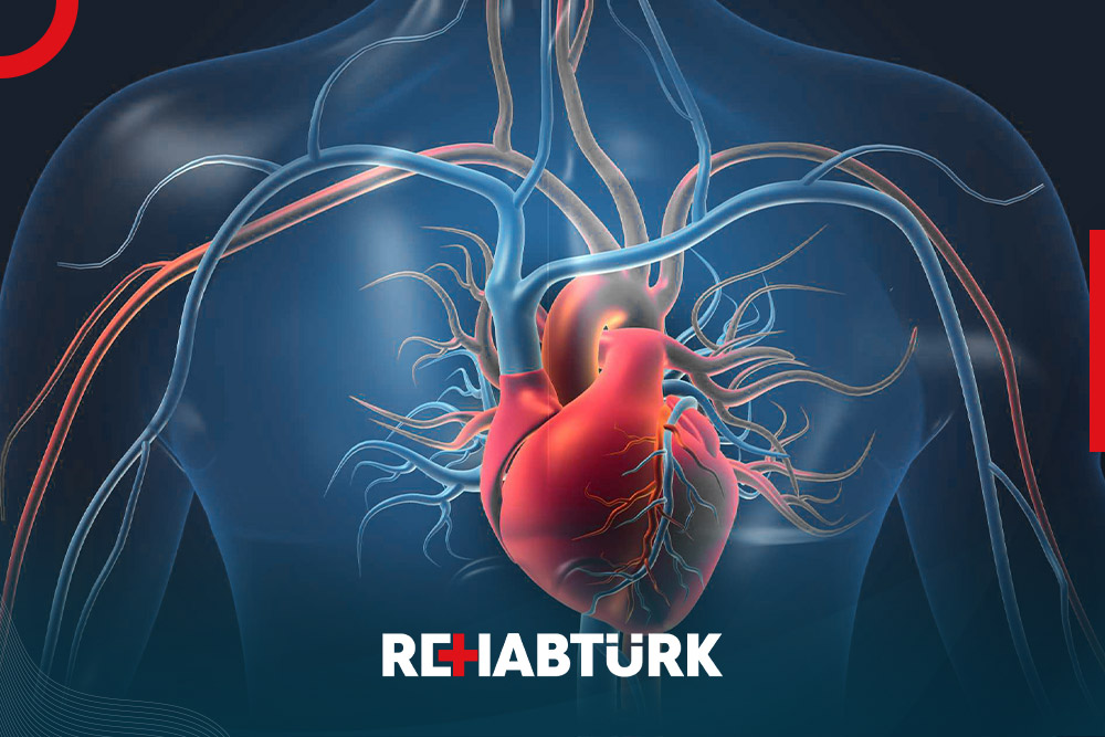 Coronary artery resection in Türkiye
