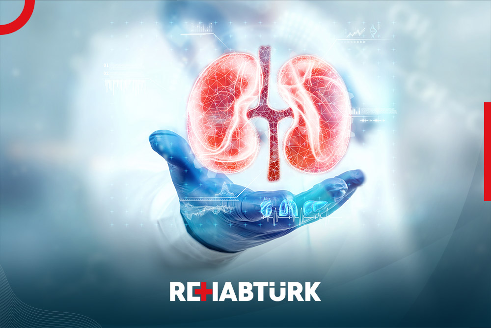 Kidney transplantation in Türkiye