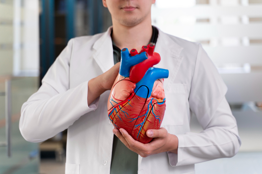 Heart Ablation