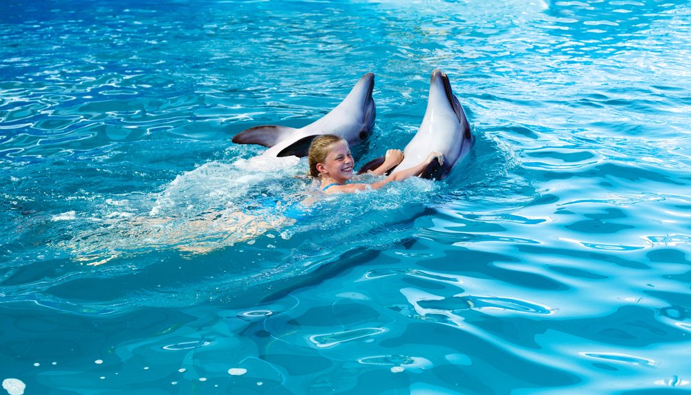 Дельфинотерапия в Турции