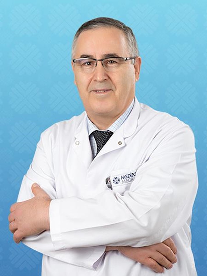 Prof.Dr. Halil TÜRKOĞLU.jpg