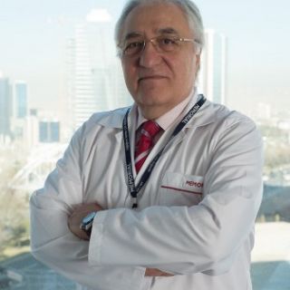 Prof. Dr. Ali OTO