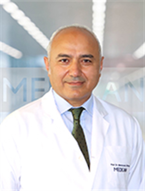 Prof. Dr.Mehmet İbiş.jpg