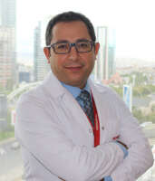 Prof. Dr. H. Ahmet DEMİR.jpg