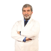 Prof. Dr. Ertuğrul Gazioğlu.png